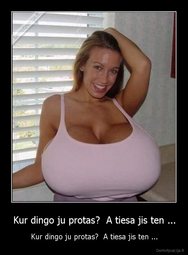 Kur dingo ju protas?  A tiesa jis ten ...