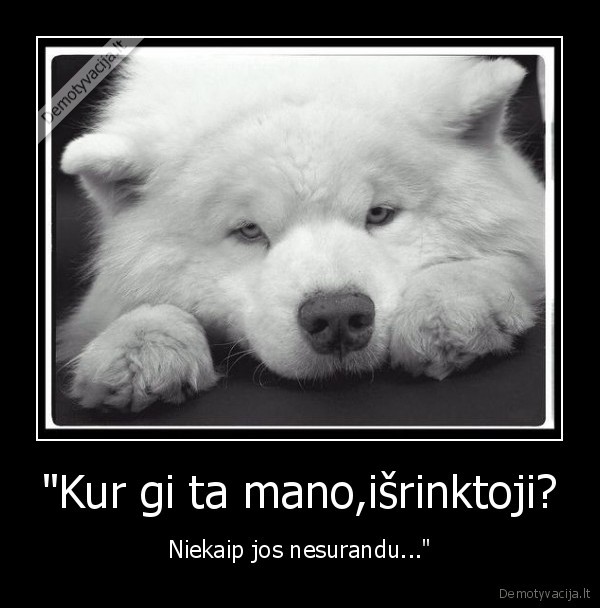 antra, puse,sunys,ilgesys