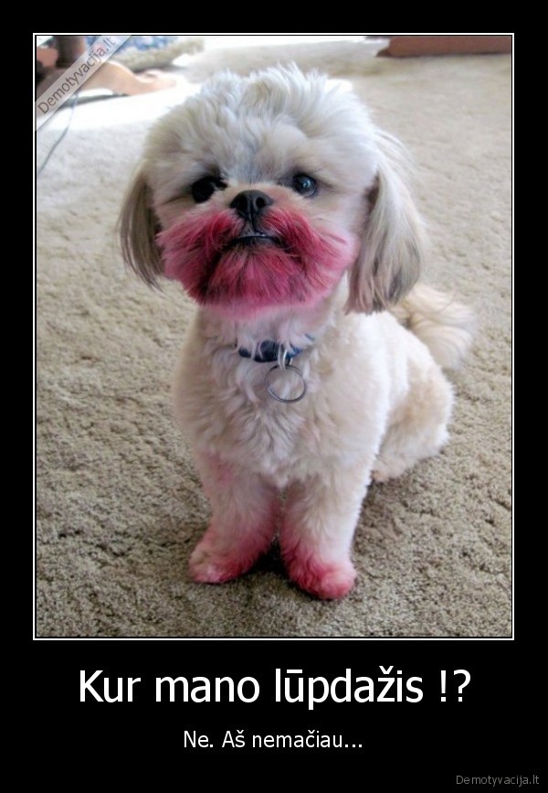 daug,uzimtu,vietos,jei,visus,zodzius,surasyciau