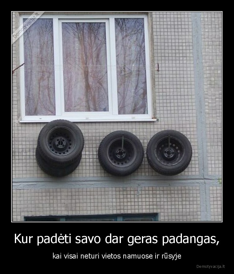 padangos,gudrybe,genialu,isradinga,vietos, trukumas