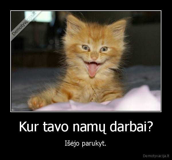 Kur tavo namų darbai?