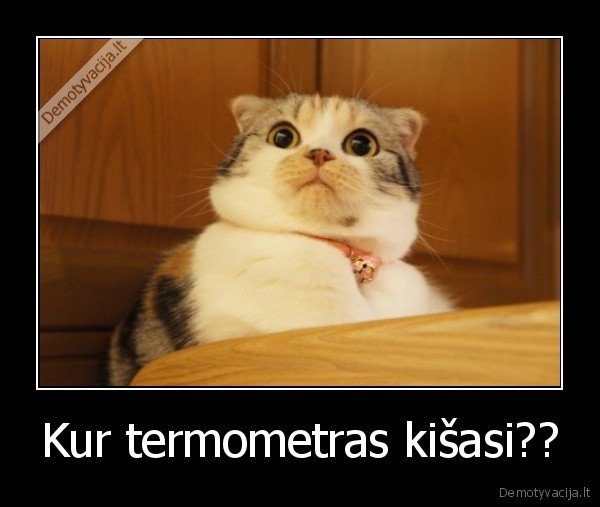 Kur termometras kišasi??