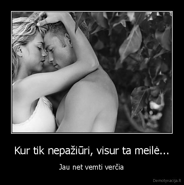 Kur tik nepažiūri, visur ta meilė...