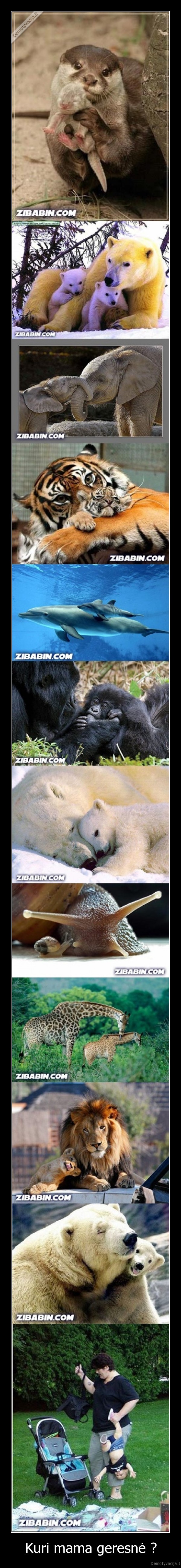 vaikai, gyvunai, geresne