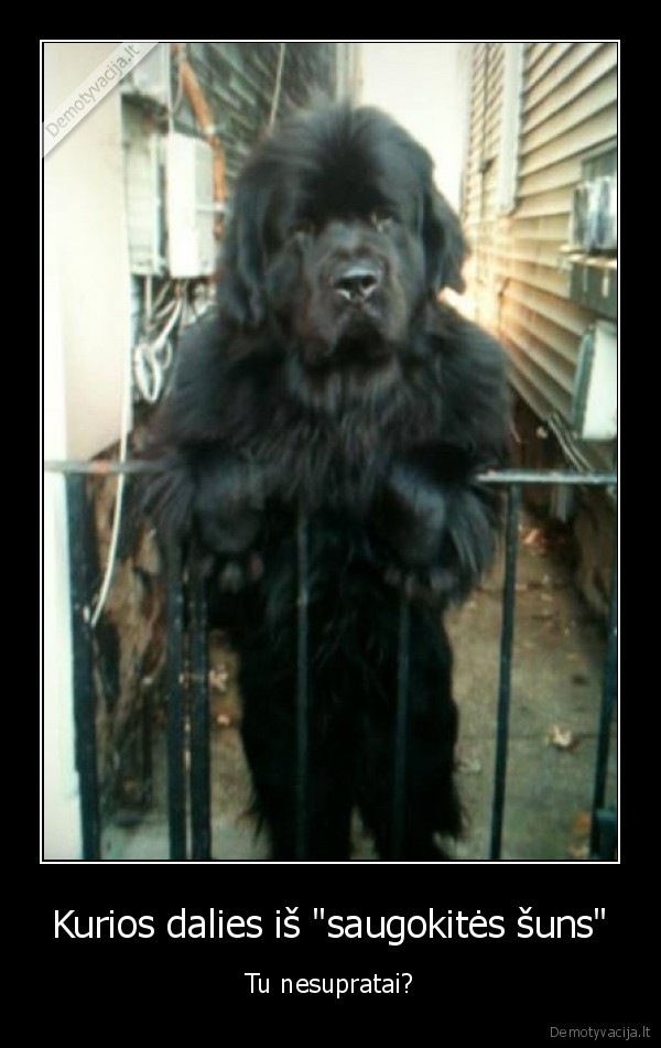 suo,saugokites, suns,kiemo, sargas