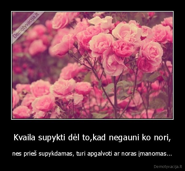 Kvaila supykti dėl to,kad negauni ko nori,