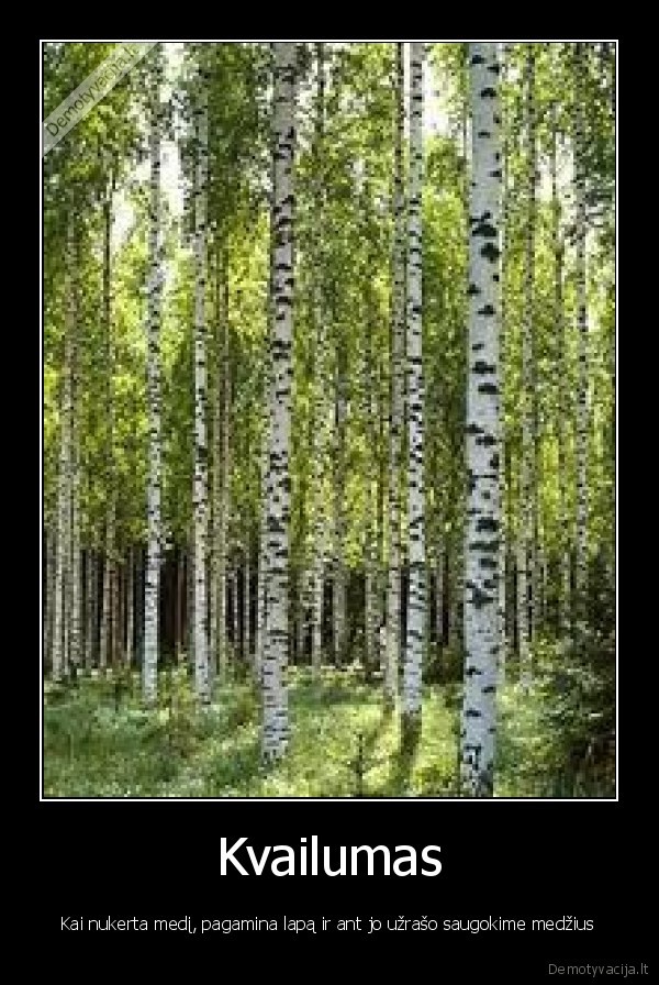 medziai, nukerta