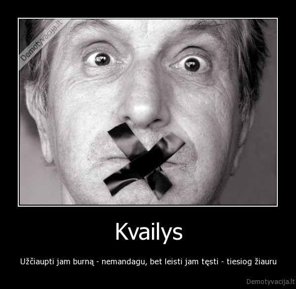 kvailys
