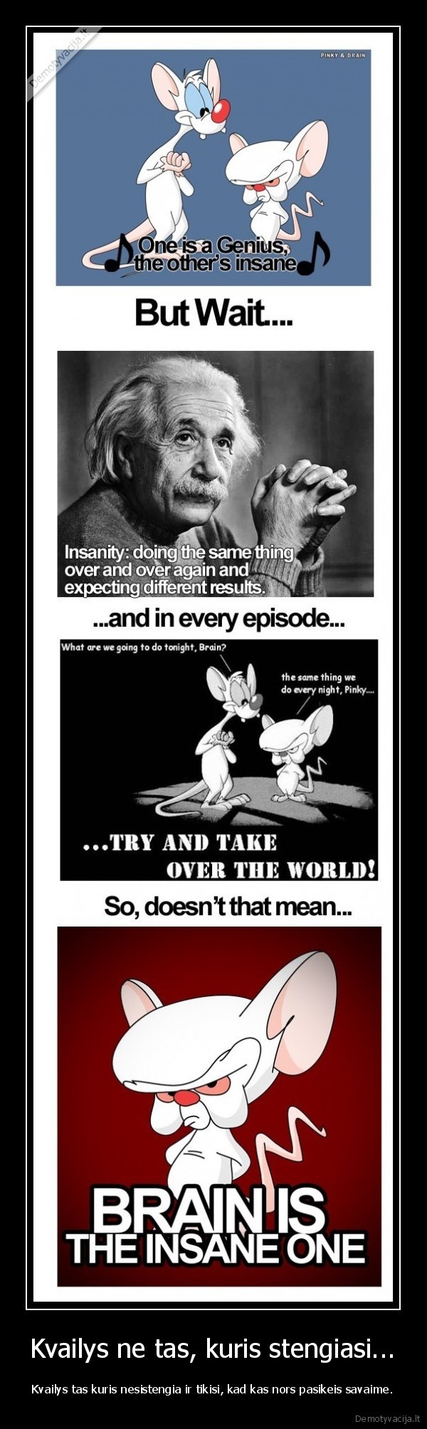 Kvailys ne tas, kuris stengiasi...