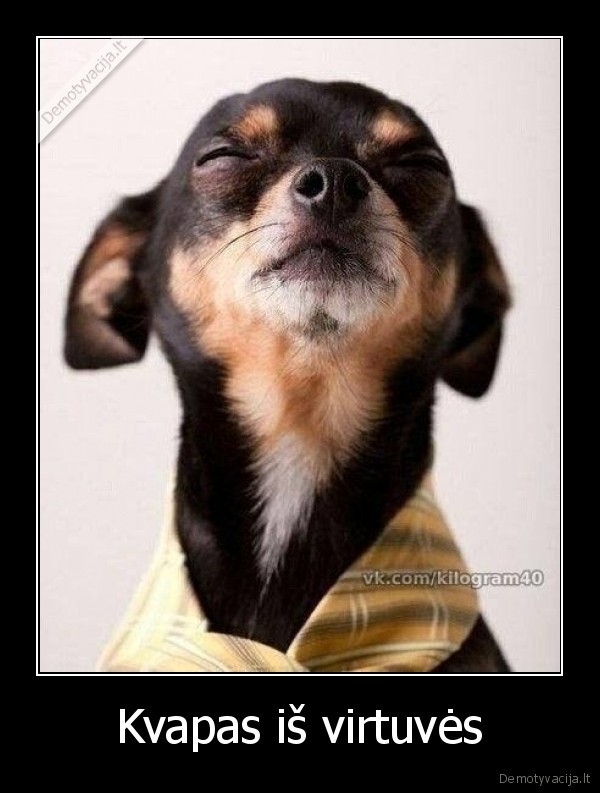 Kvapas iš virtuvės