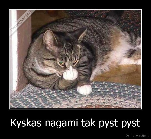 Kyskas nagami tak pyst pyst
