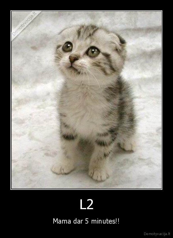 httpinvitation.l2party.euindex.phpq23