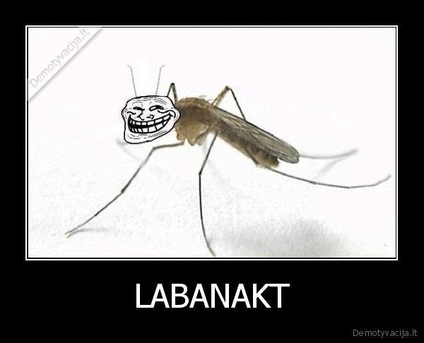 uodai, jobani, neduoda, miegot