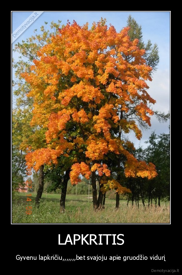 LAPKRITIS