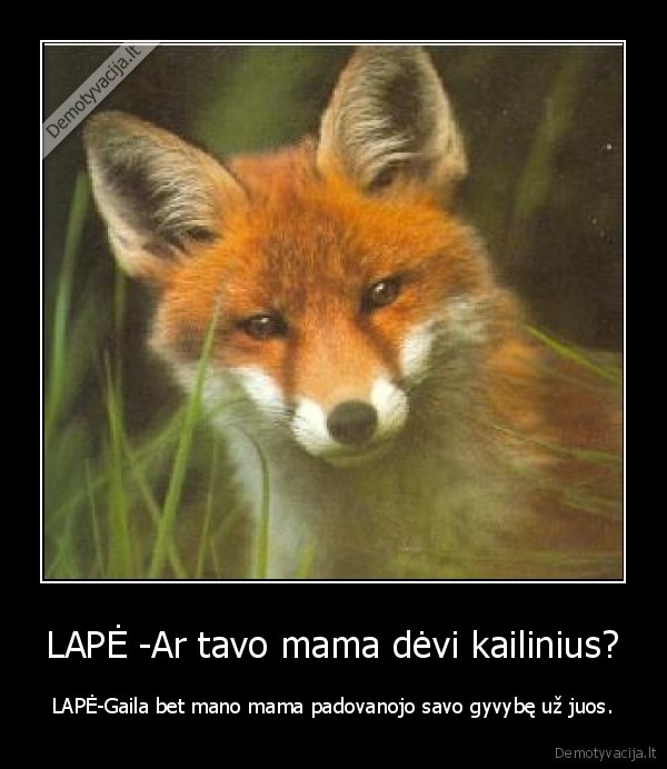 gyvunai,gyvenimas,ziaurus