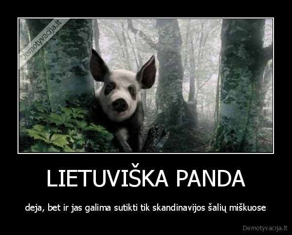 LIETUVIŠKA PANDA