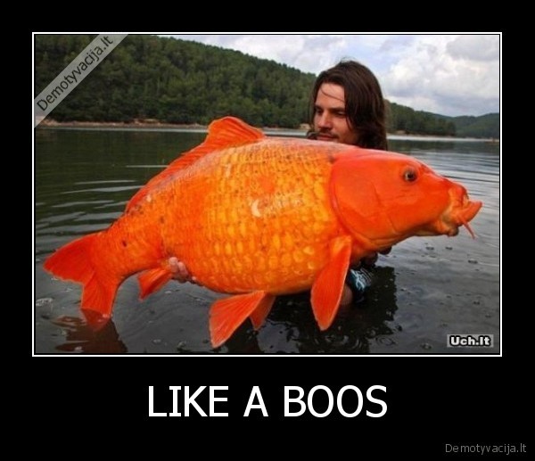 LIKE A BOOS