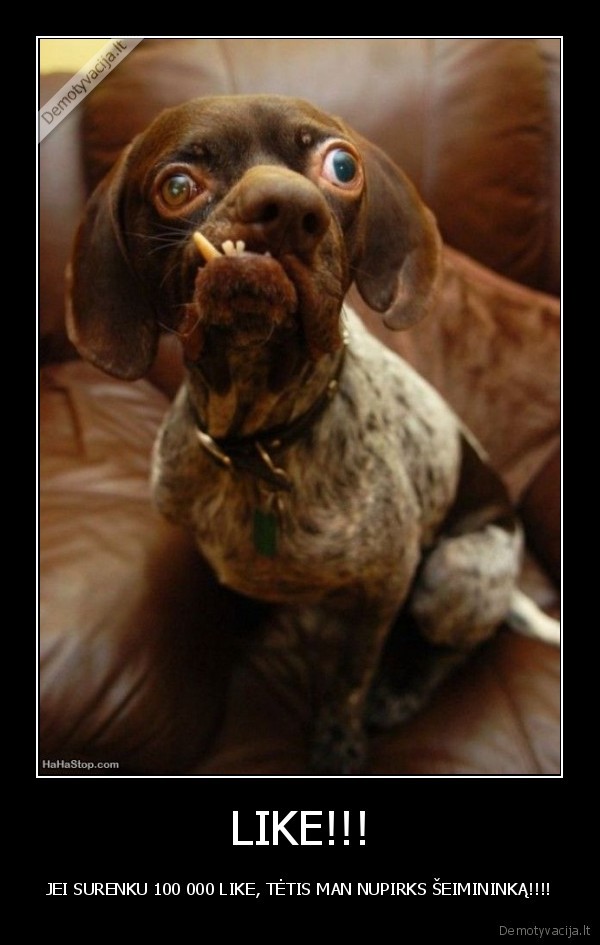 LIKE!!!