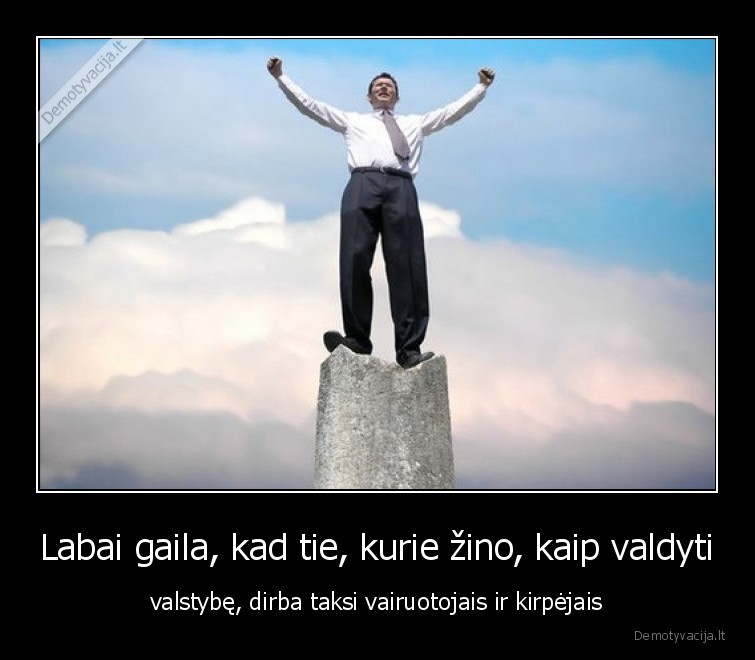 zino,nedaro,valdo,skaldo