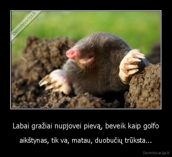 kurmis,duobes,kurmiarausiai