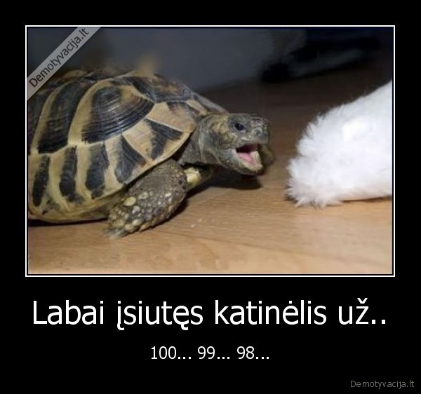 vezlys,katinas,isiusti,gauti, malku,uodega,kasnis