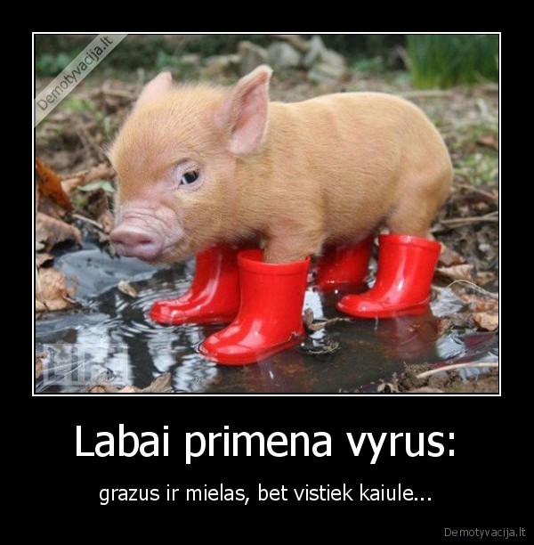 Labai primena vyrus: