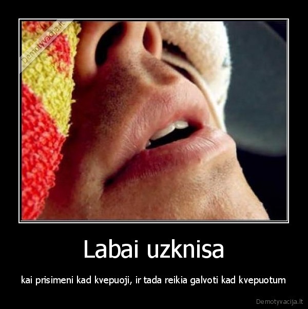 minedas, ir, byberis, jauciu, geriausi, draugeliai