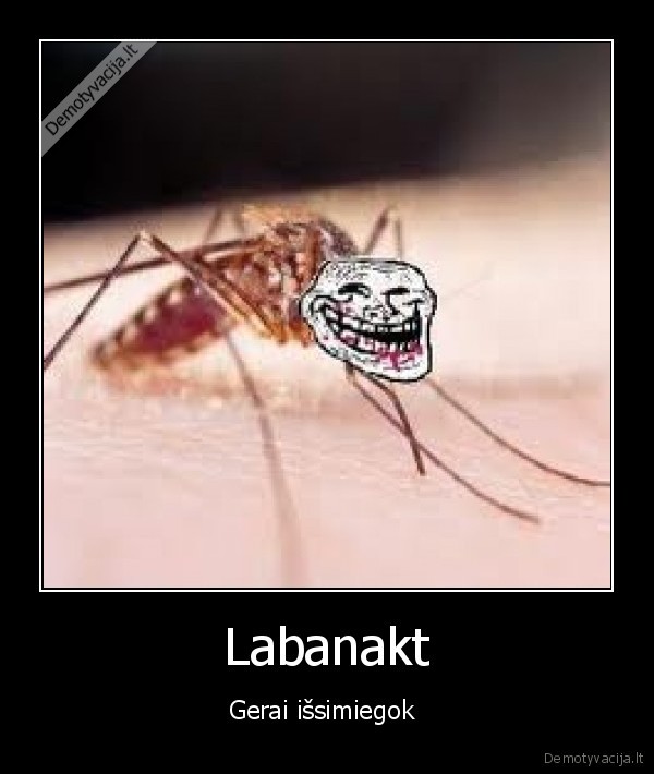 uodai,miegas,uzknisa