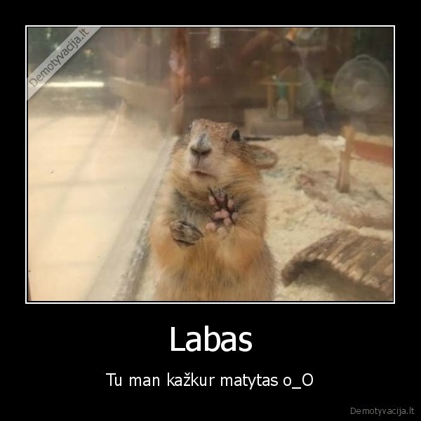 Labas