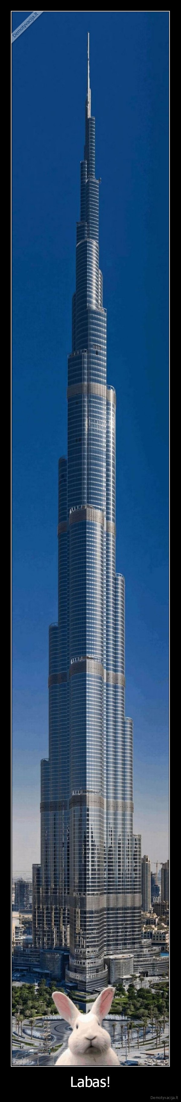 kiskis,juokingas, zuikis,dangoraizis