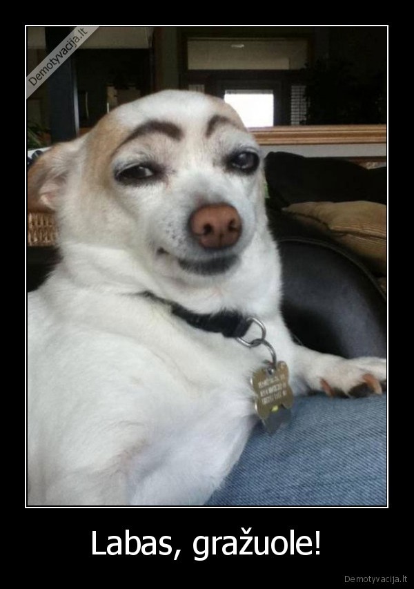 Labas, gražuole!