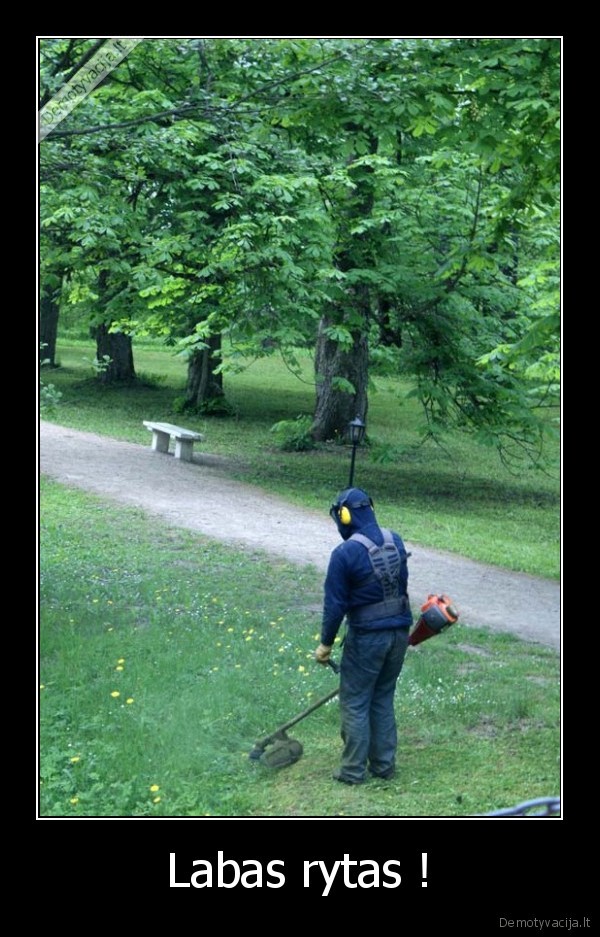 kubilius,pjauna,zole,anksti,ryte