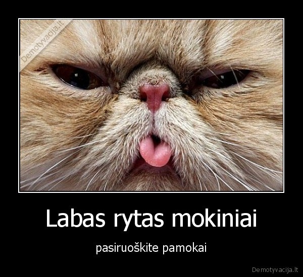 kate, pamokos, mokykla, mokytoja