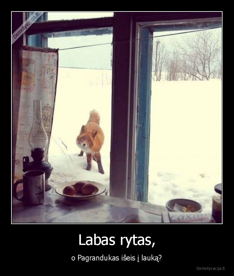 lape,pagrandukas,labas,rytas