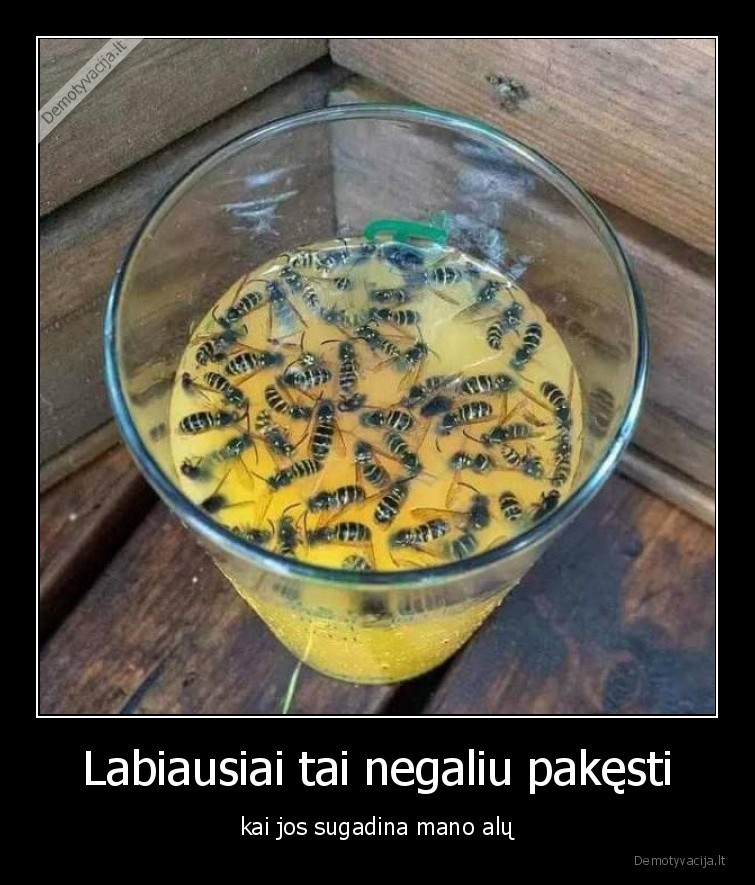 alus,gerimai,bites,muses,vabzdziai,vasara