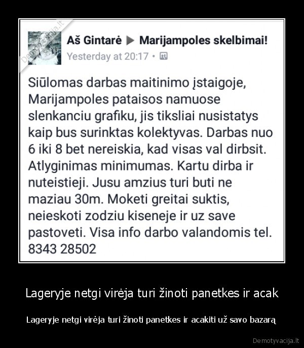 Lageryje netgi virėja turi žinoti panetkes ir acak