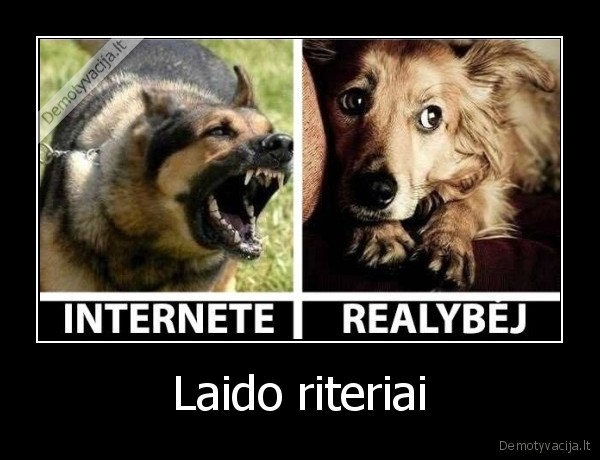 sunys,laido, riteriai,internautai