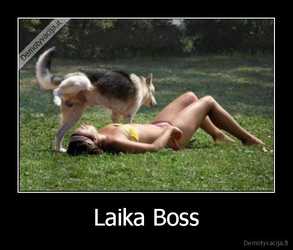 Laika Boss