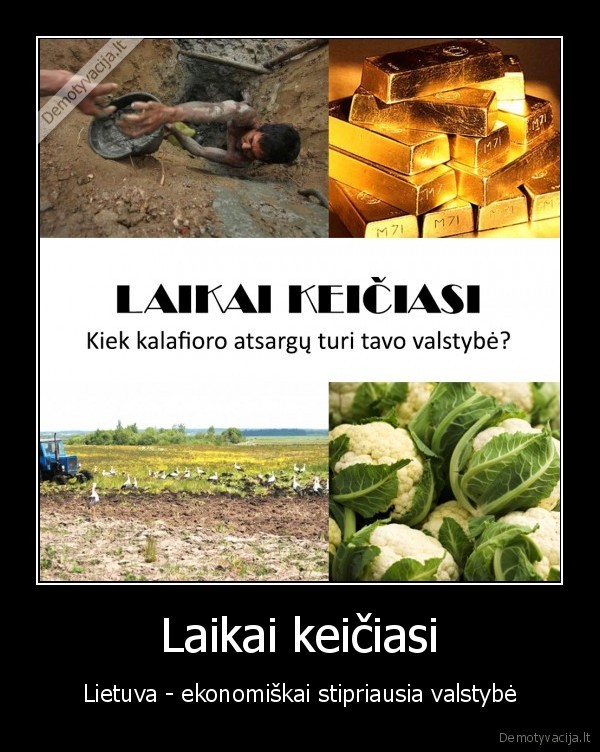 kalafiorai, buvo, kalafiorai, bus, kalafiorai, varo, i, kapus