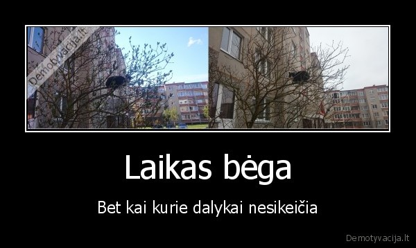Laikas bėga