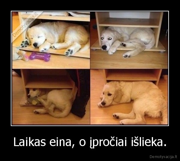 Laikas eina, o įpročiai išlieka.