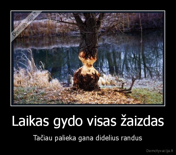 Laikas gydo visas žaizdas