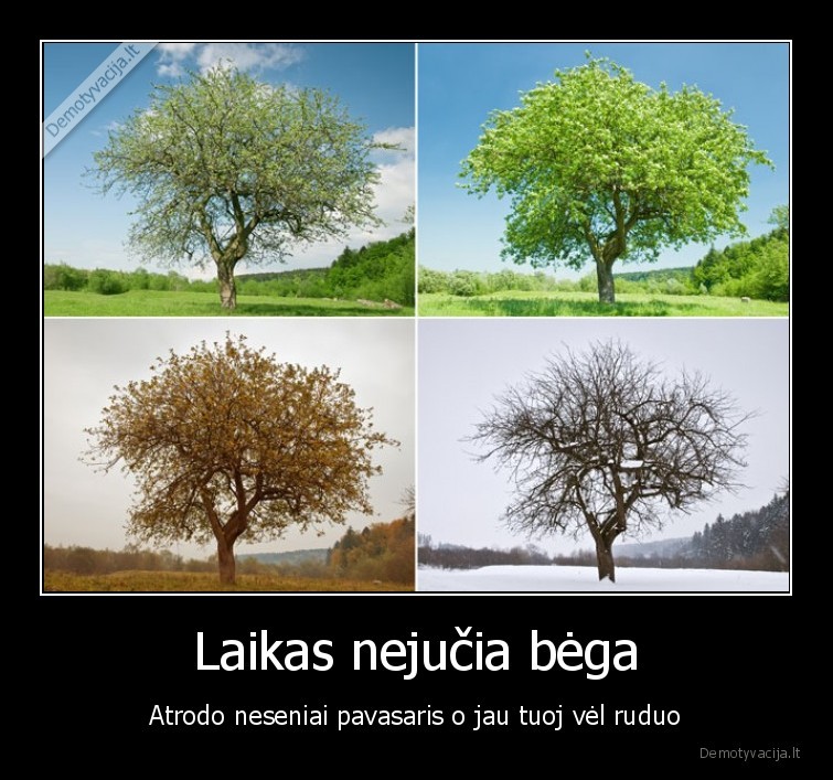 Laikas nejučia bėga