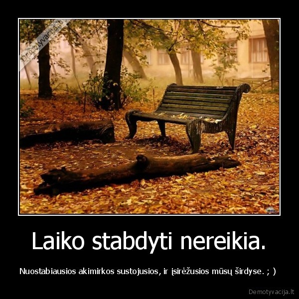 Laiko stabdyti nereikia.