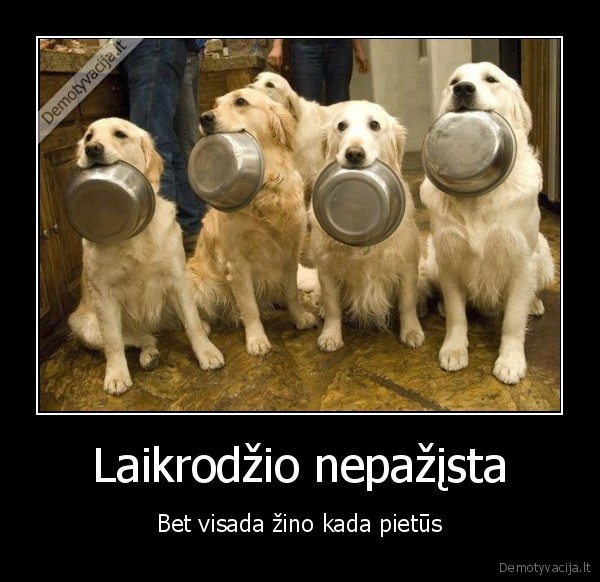 sunys,pietu, metas,pietus,noriu, valgyt