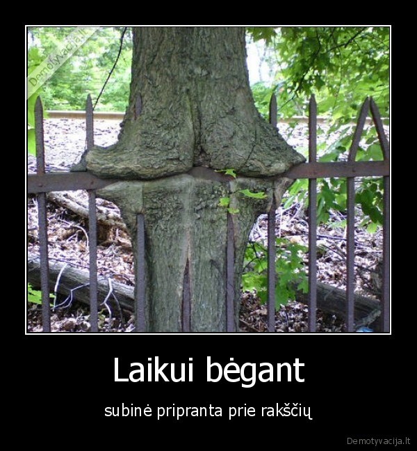 ar, tik, tu, ne, rakstis, mano, subinej