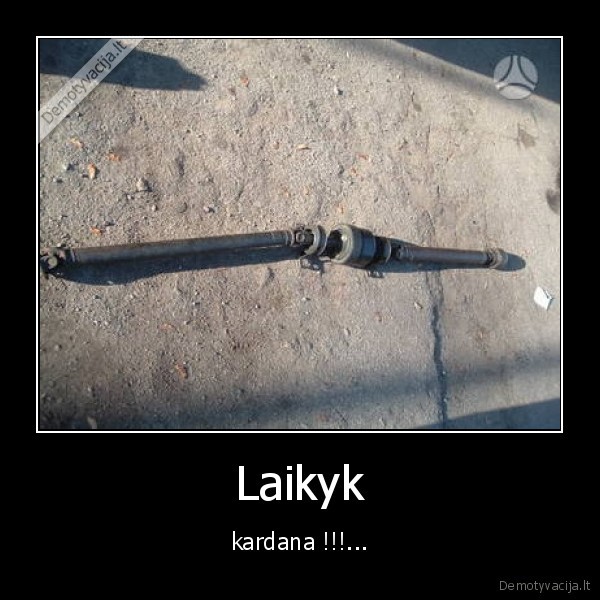 Laikyk