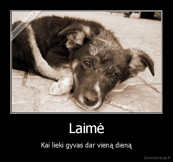Laimė