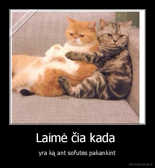 laime,kaciukai