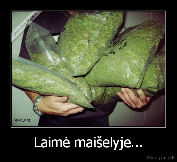 Laimė maišelyje...